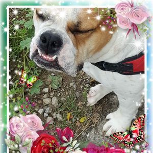 Meet your Posher, Marci